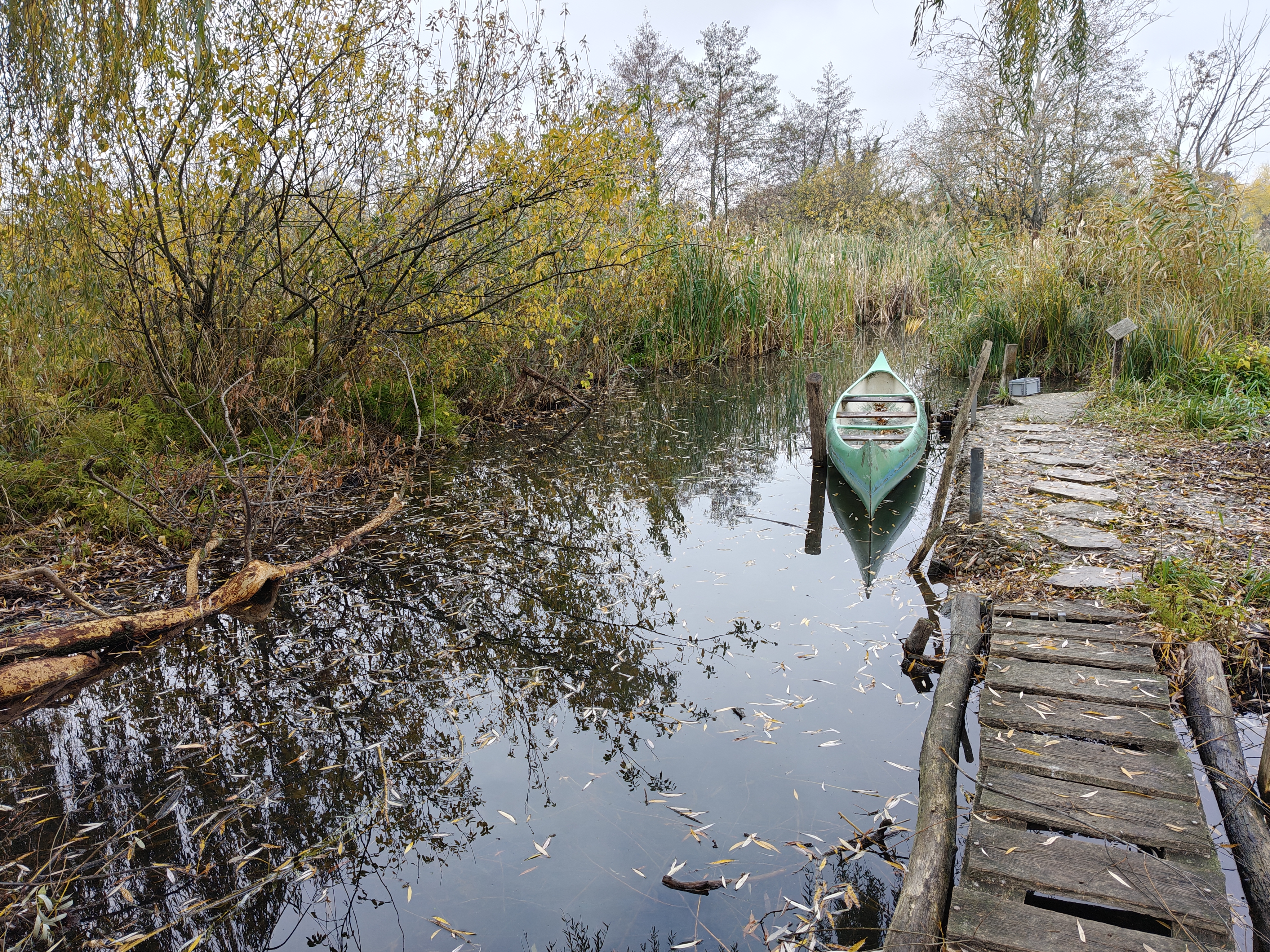 Ráckevei duna vízpart