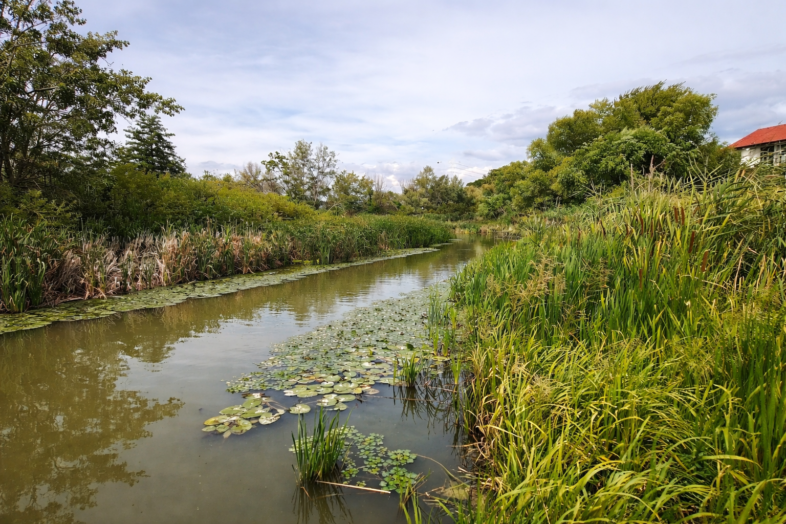 Stég és csónak a Ráckevei (Soroksári)-Duna partján